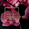 One_Night_You&Me.jpg